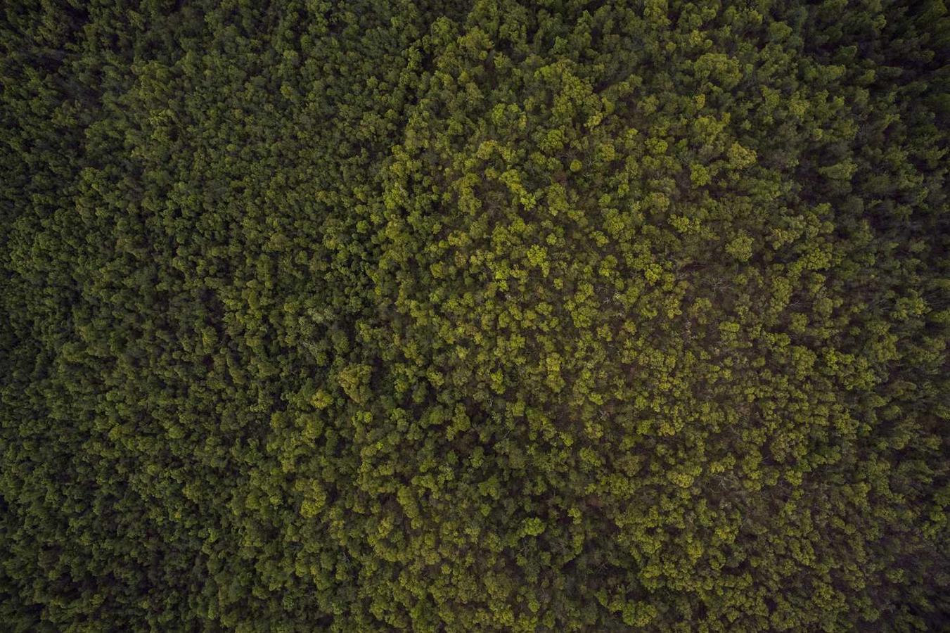 Earum nam nisi veritatis aut distinctio